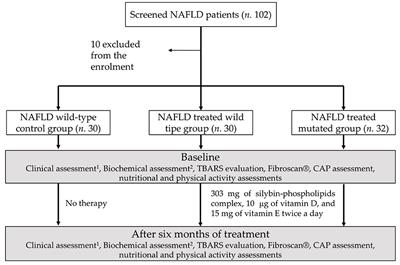 PNPLA3, TM6SF2, and MBOAT7 Influence on Nutraceutical Therapy Response for Non-alcoholic Fatty Liver Disease: A Randomized Controlled Trial